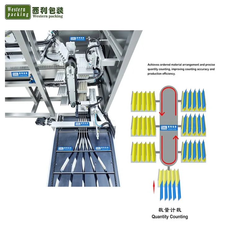 Flexible Sachet Cartoning Machine factory