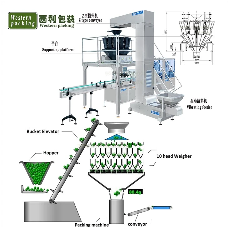 Freeze Dried Instant Coffee Filling Machine suppliers