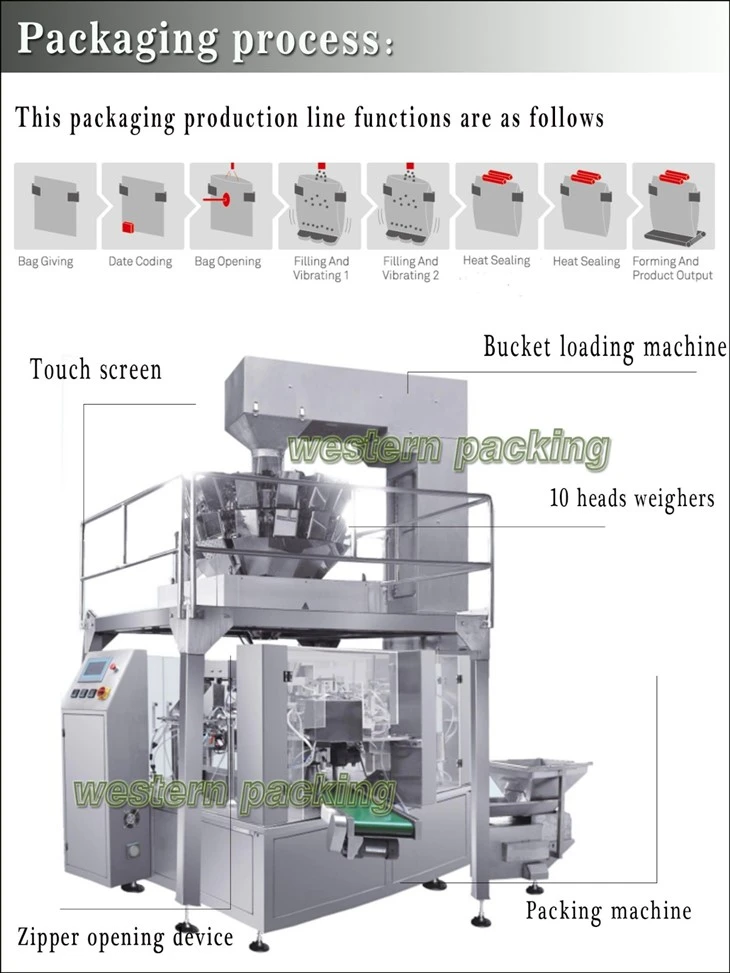 cat food pet making machine